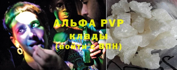 прущие крисы Гвардейск
