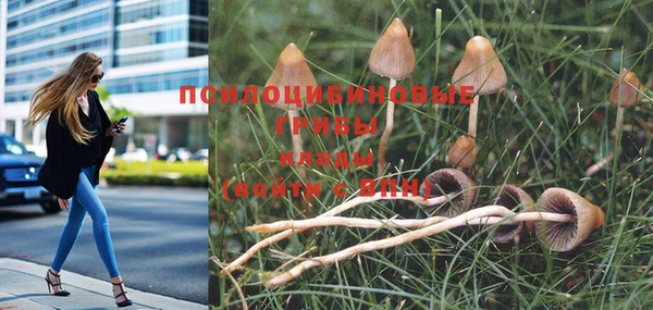 дистиллят марихуана Осинники