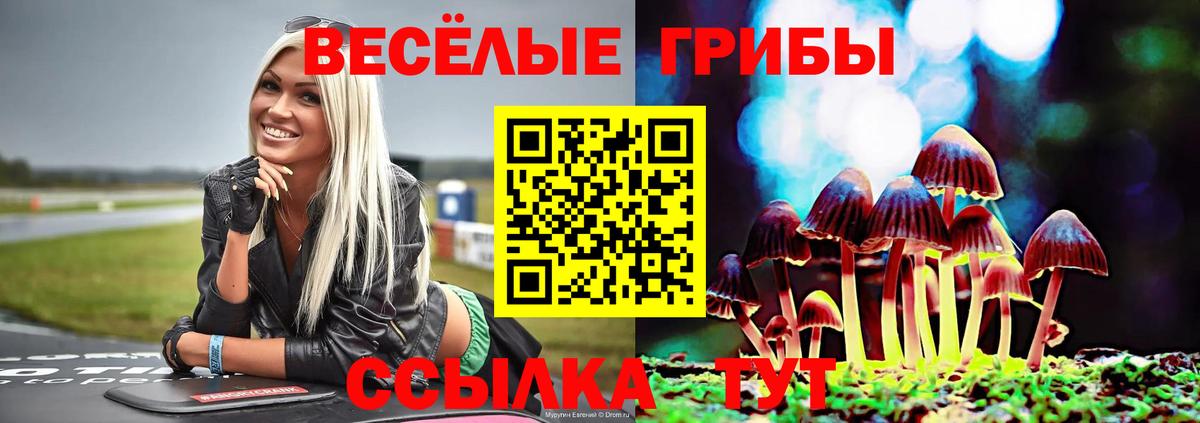 Псилоцибиновые грибы Cubensis  Апатиты  Галлюциногенные грибы прущие грибы 