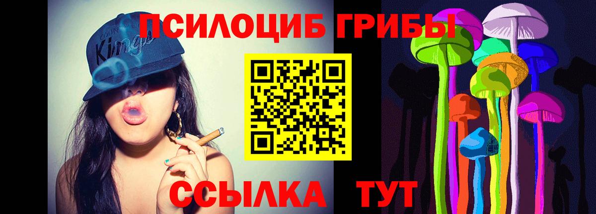 Псилоцибиновые грибы прущие грибы  Вход с VPN  Апатиты 